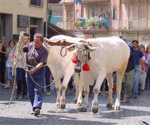 Festa dell'Assunta